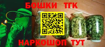 СК Шахты