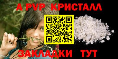 СК Шахты
